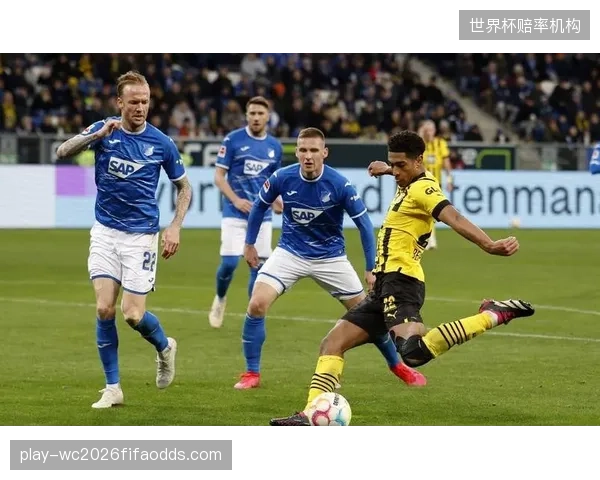 后防大将本塞拜尼在多特蒙德经历完整赛季，其丰富的五大联赛经验是后防线的宝贵财富。